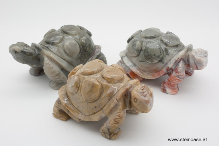 Schildkröte Speckstein Gr.L